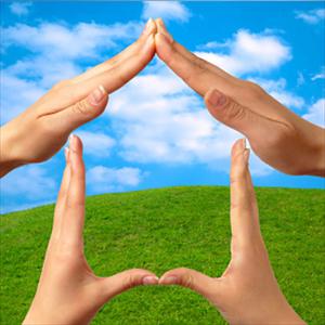  New Study Indicates That Pycnogenol Works As A Hemorrhoid Treamtment